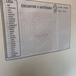Encontre o Antônimo